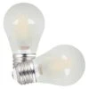 Feit Electric LED Light Bulb (2 Pack) (14777) -Light Bulbs Shop 14777lg