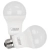 Feit Electric LED Light Bulb (2 Pack) (14781) -Light Bulbs Shop 14781lg