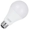 Feit Electric LED Light Bulb (15381) -Light Bulbs Shop 15381lg