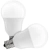 Feit Electric LED Light Bulb (2 Pack) (15451) -Light Bulbs Shop 15453lg 1