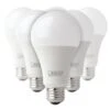 Feit Electric LED Light Bulb (6 Pack) (15727) 1 Feit Electric LED Light Bulb (6 Pack) (15727) -Light Bulbs Shop 15726alg
