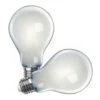 Feit Electric LED Light Bulb (2 Pack) (15742) -Light Bulbs Shop 15740lg