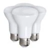 General LED Light Bulb (4 Pack) (16270) -Light Bulbs Shop 16270lg