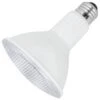 Feit Electric LED Reflector Flood Retrofit (17120)