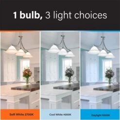 Feit Electric LED Light Bulb (17294) -Light Bulbs Shop 17294addmd