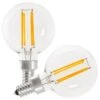 Feit Electric LED Light Bulb (2 Pack) (18540) -Light Bulbs Shop 18540lg