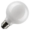 Satco LED Light Bulb (20553) -Light Bulbs Shop 20553lg