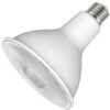 Satco LED Flood Light Bulb (21050) -Light Bulbs Shop 21049lg