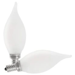 Feit Electric LED Light Bulb (2 Pack) (21108) -Light Bulbs Shop 21108md