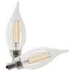 Feit Electric LED Light Bulb (2 Pack) (21309) -Light Bulbs Shop 21309lg