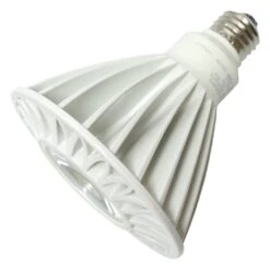 TCP LED Light Bulb (17204)