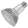 Satco LED Reflector Flood Retrofit (22241)
