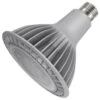 Satco LED Light Bulb (22251) -Light Bulbs Shop 22251lg