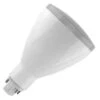 Satco LED Light Bulb (22404) -Light Bulbs Shop 22404lg