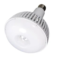 Satco LED Light Bulb (23112)