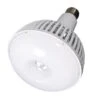 Satco LED Light Bulb (23113) 2 Satco LED Light Bulb (23113) -Light Bulbs Shop 23113lg
