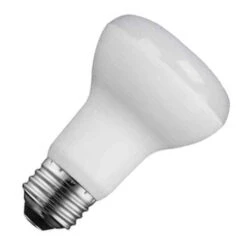 TCP LED Light Bulb (23720)