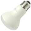 TCP LED Reflector Flood Retrofit (24768) -Light Bulbs Shop 24768lg