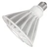 TCP LED Narrow Flood Light (26909) -Light Bulbs Shop 26902lg