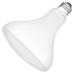 TCP LED Reflector Flood Retrofit (27429)