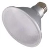 Satco LED Reflector Flood Retrofit (29421) -Light Bulbs Shop 29421lg