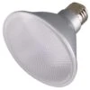 Satco LED Reflector Flood Retrofit (29424) 2 Satco LED Reflector Flood Retrofit (29424) -Light Bulbs Shop 29424lg