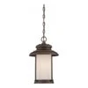Nuvo Hanging Light Fixture (32635) -Light Bulbs Shop 32635lg
