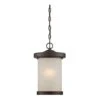Nuvo Hanging Light Fixture (32645) -Light Bulbs Shop 32645lg