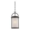 Nuvo Hanging Light Fixture (32655) -Light Bulbs Shop 32655lg