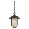 Nuvo LED Outdoor Hanging Light (32675) -Light Bulbs Shop 32675lg