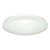Nuvo LED Ceiling Light Fixture (32796) -Light Bulbs Shop 32796lg