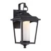 Nuvo LED Outdoor Wall Sconce (32822)