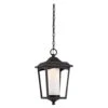 Nuvo LED Outdoor Hanging Light (32824) -Light Bulbs Shop 32824lg