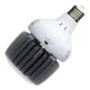 Satco LED Light Bulb (33115) -Light Bulbs Shop 33115lg