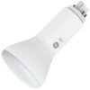 GE LED Light Bulb (33974) -Light Bulbs Shop 33974lg