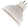 GE LED Reflector Flood Retrofit (34561)