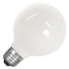 Feit Electric LED Light Bulb (35928) -Light Bulbs Shop 35928lg