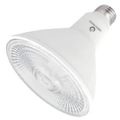 Green Creative LED Light Bulb (36542)