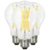 Sylvania LED Light Bulb (4 Pack) (40875) -Light Bulbs Shop 40689lg