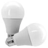Sylvania LED Light Bulb (2 Pack) (41220) -Light Bulbs Shop 41220lg