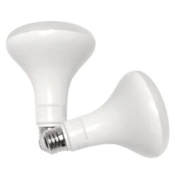 Sylvania LED Reflector Flood Retrofit (2 Pack) (41250)