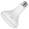 Sylvania LED Reflector Flood Retrofit (41922) -Light Bulbs Shop 41922alg