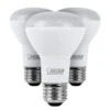 Feit Electric LED Light Bulb (3 Pack) (42543) 1 Feit Electric LED Light Bulb (3 Pack) (42543) -Light Bulbs Shop 42543alg