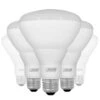 Feit Electric LED Reflector Flood Retrofit (12 Pack) (43548) -Light Bulbs Shop 43550lg 2