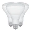 Feit Electric LED Light Bulb (3 Pack) (43722) -Light Bulbs Shop 43599lg 1