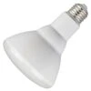 Westinghouse LED Reflector Flood Retrofit (45148) -Light Bulbs Shop 45148lg