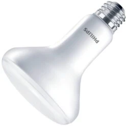 Philips LED Reflector Flood Retrofit (457044) -Light Bulbs Shop 457044amd