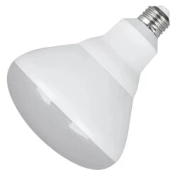 Feit Electric LED Reflector Light Bulb (45936)