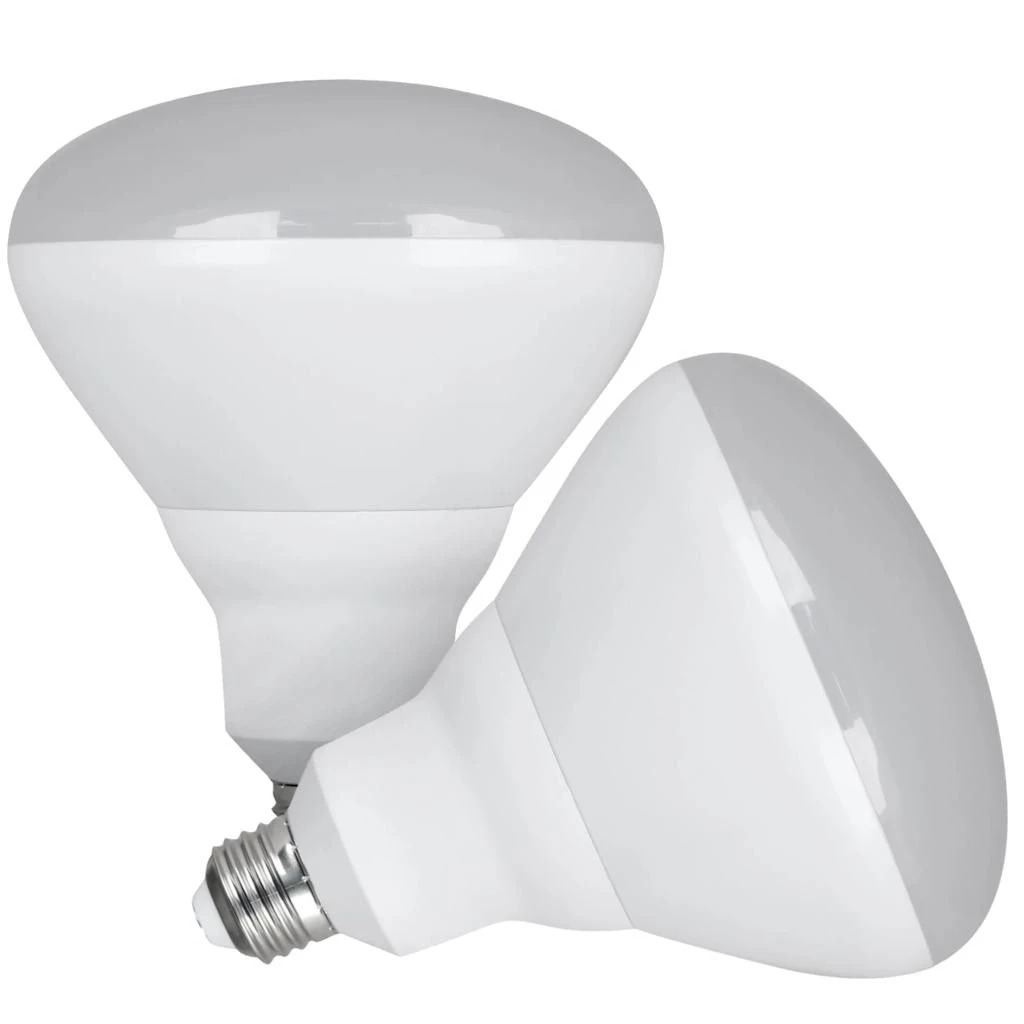 Feit Electric LED Light Bulb (2 Pack) (45937) 3 Feit Electric LED Light Bulb (2 Pack) (45937)