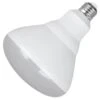 Feit Electric LED Light Bulb (45939) -Light Bulbs Shop 45939lg